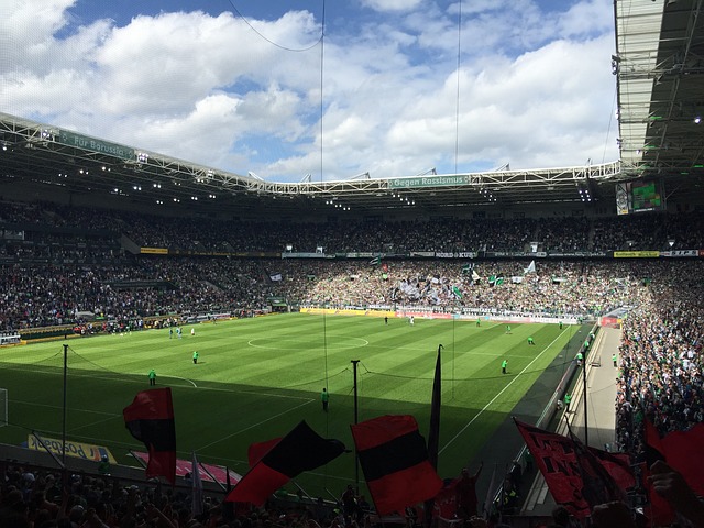 钟看狼